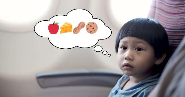 Snacks on a plane: Kid-friendly treats for smooth flying