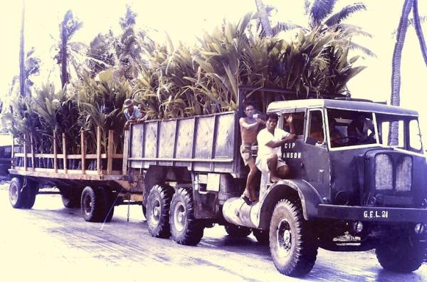 Two men riding on a coco<em></em>nut plantation truck in Kiritimati